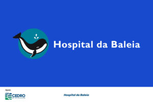 Com o apoio da Cedro Mineração, o projeto "Humanização no Cuidado do idoso Dialítico"do Hospital da Baleia promoverá a ampliação da atenção ao idoso que se encontra em estágio avançado da doença renal. Hospital da Baleia